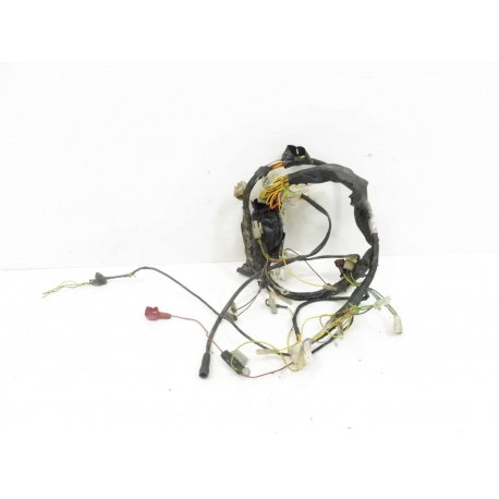 FAISCEAU - GILERA RCR 50