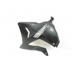 CARENAGE - GILERA RCR 50