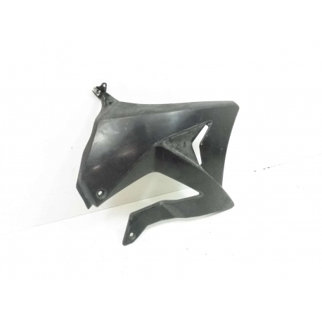 CARENAGE - GILERA RCR 50