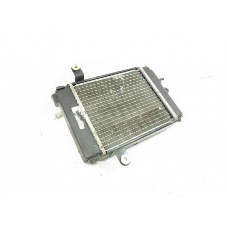 RADIATEUR - DAELIM S3 125