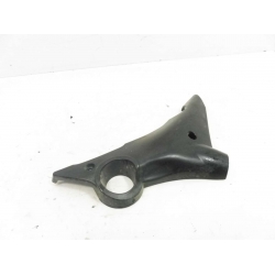 CARENAGE - GENERIC TIGER 50