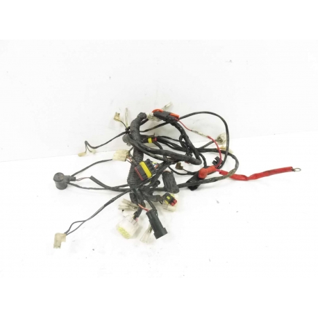 FAISCEAU - GENERIC TIGER 50