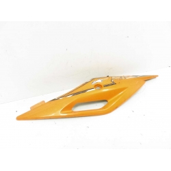 CACHE - GENERIC TIGER 50