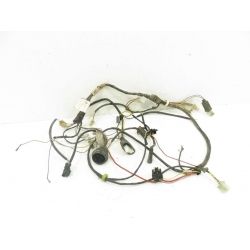 FAISCEAU - PEUGEOT VIVACITY