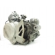 MOTEUR - DERBI GPR