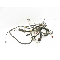 FAISCEAU - PIAGGIO NRG