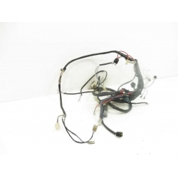 FAISCEAU - APRILIA SR 50 DITECH 2001