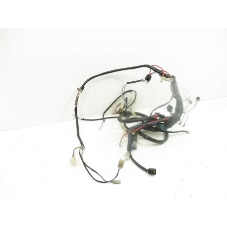 FAISCEAU - APRILIA SR 50 DITECH 2001