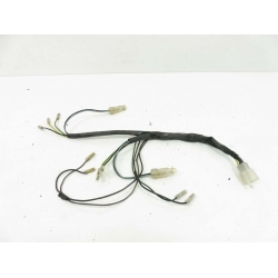 FAISCEAU - SYM ORBIT