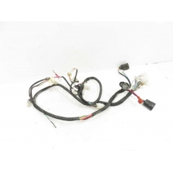 FAISCEAU - IMF PACH 51