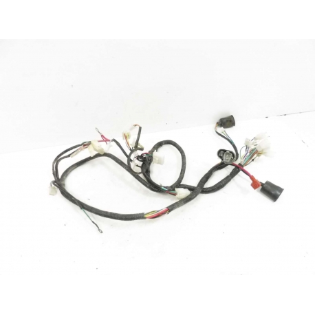 FAISCEAU - IMF PACH 51