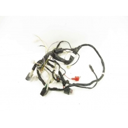 FAISCEAU - DERBI  DRD X-TREME