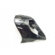 FLANC G - YAMAHA THUNDERACE 1000
