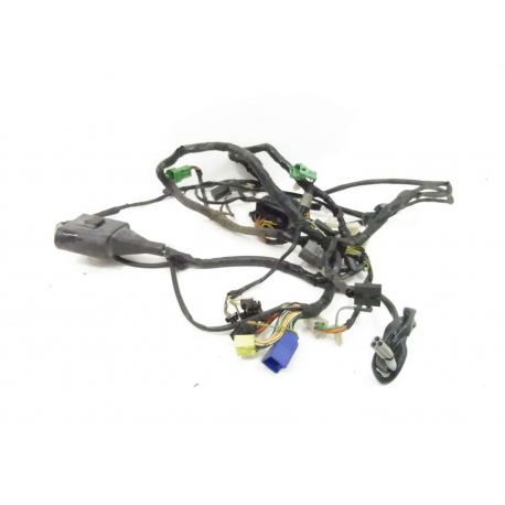 FAISCEAU - SUZUKI 600 BANDIT