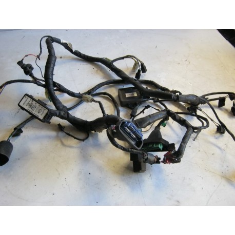 FAISCEAU ELECTRIQUE - HONDA VFR 800