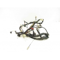 FAISCEAU - DERBI  DRD X-TREME