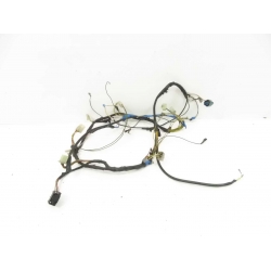 FASICEAU - PEUGEOT LUDIX