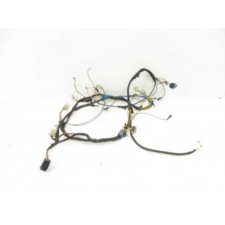 FASICEAU - PEUGEOT LUDIX