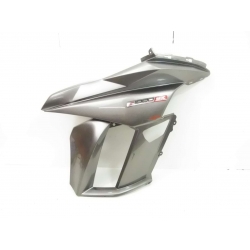 FLANC - KAWASAKI Z1000SX