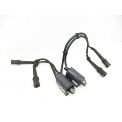 BOBINE - YAMAHA 600 FAZER 2000