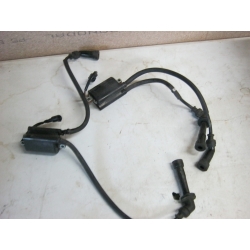 BOBINE - SUZUKI SVS 650