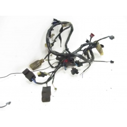 FAISCEAU - HONDA CBR 900  SC33B