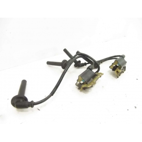 PAIRE BOBINE - HONDA CBR 900  SC33B