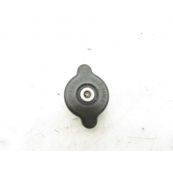 BOUCHON RADAITEUR - YAMAHA 1000 R1