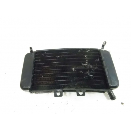 RADIATEUR - PIAGGIO NRG