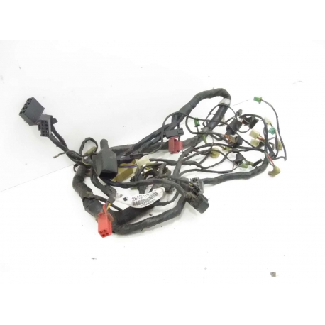 FAISCEAU - KAWASAKI ZZR 600