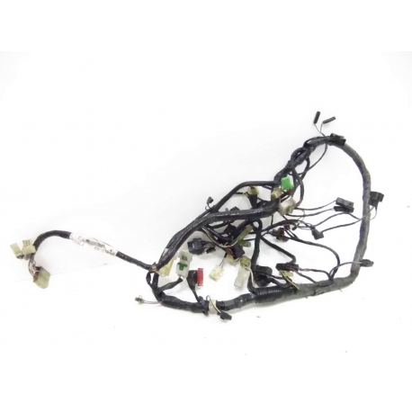 FAISCEAU - KAWASAKI ZZR 1200