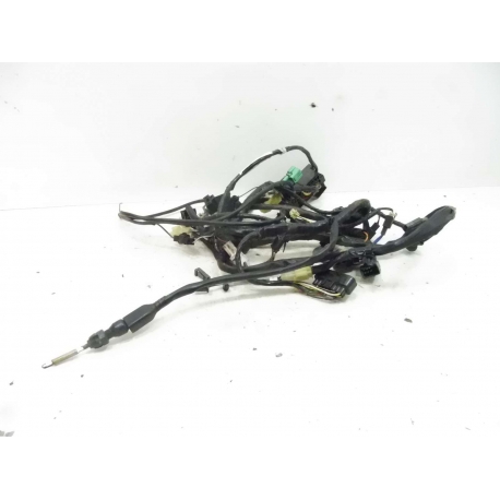 FAISCEAU - SUZUKI 650 BANDIT