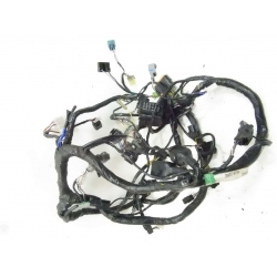 FAISCEAU - KAWASAKI NINJA 250