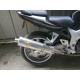 SUZUKI SVS 650 2001