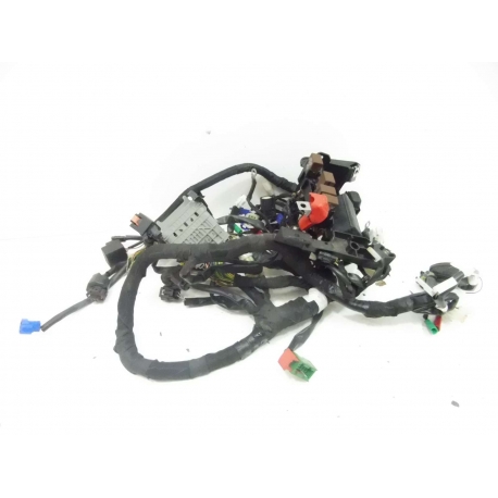 FAISCEAU - DUKE 125 2018