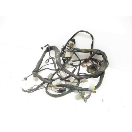 FAISCEAU - APRILIA PEGASO 650