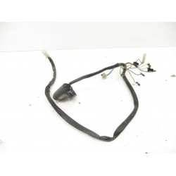 FAISCEAU AR - APRILIA PEGASO 650