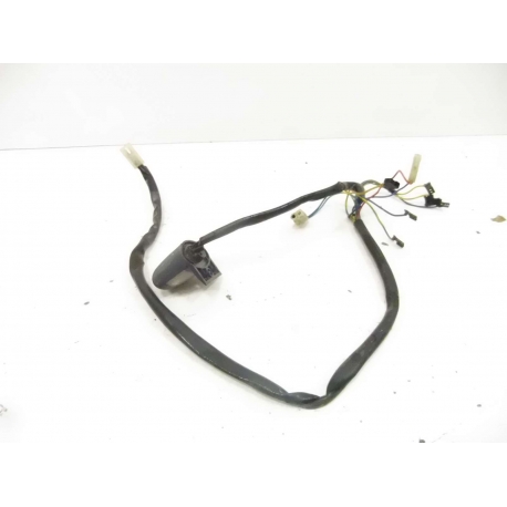 FAISCEAU AR - APRILIA PEGASO 650