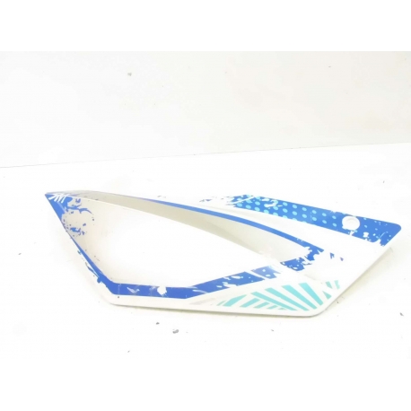 CARENAGE - FURIOUS 50 SM