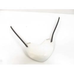 CARENAGE - HONDA PCX