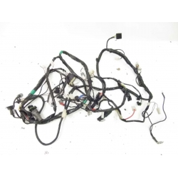 FAISCEAU - PIAGGIO TYPHOON 2020