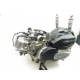 MOTEUR - HONDA PCX