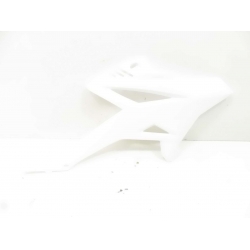 CARENAGE  - BETA  50