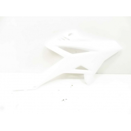 CARENAGE  - BETA  50