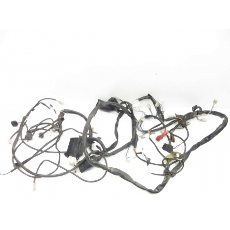 FAISCEAU - APRILIA RSV 1000