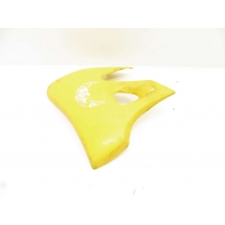 CARENAGE - BETA RK6 50