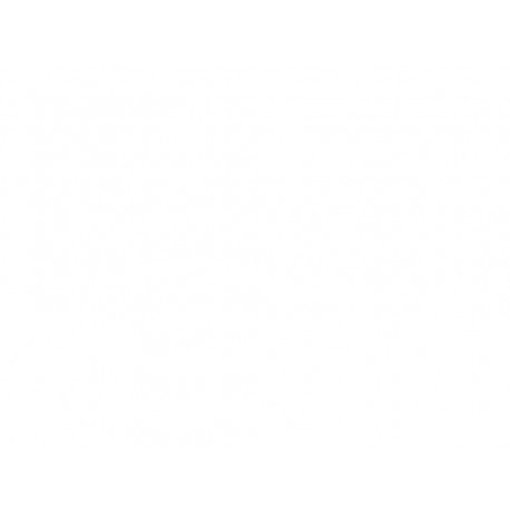 BAVETTE - GILERA STALKER