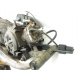 MOTEUR - PIAGGIO NRG MC3