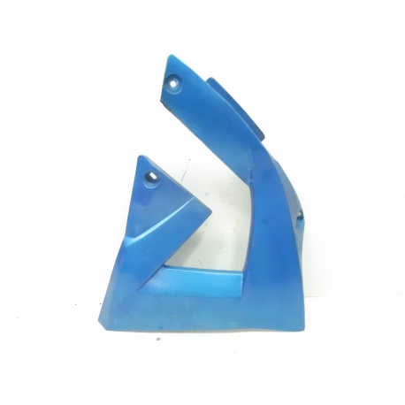 CARENAGE - RIEJU SMX