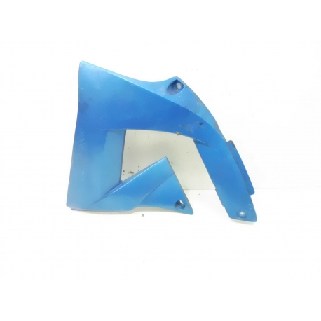 CARENAGE - RIEJU SMX